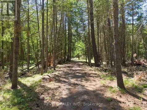 1521 Windham Road 19 Norfolk ON N0E 1H0