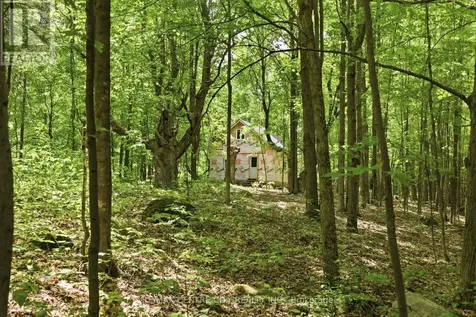 19637 County Road 25 South Glengarry ON K0C 1B0