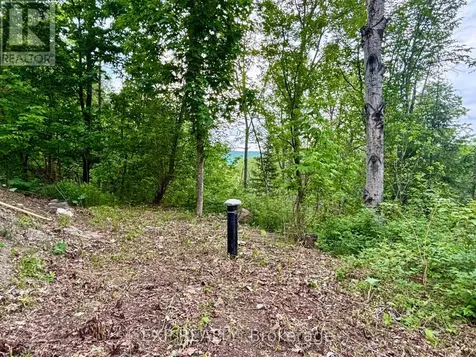47 Arbor Vitae Road Madawaska Valley ON K0J 1B0