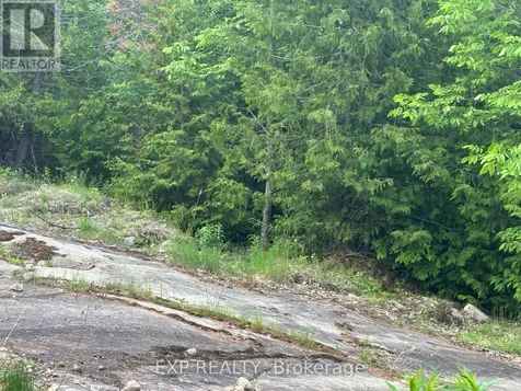 47 Arbor Vitae Road Madawaska Valley ON K0J 1B0