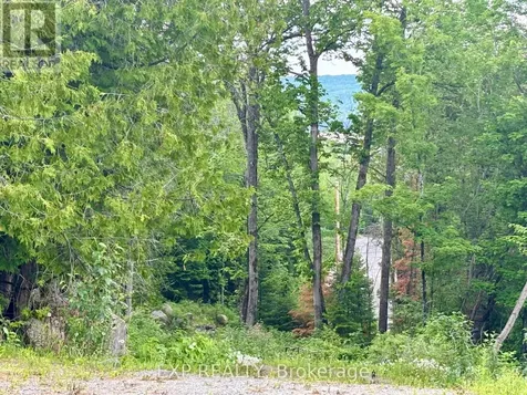 47 Arbor Vitae Road Madawaska Valley ON K0J 1B0