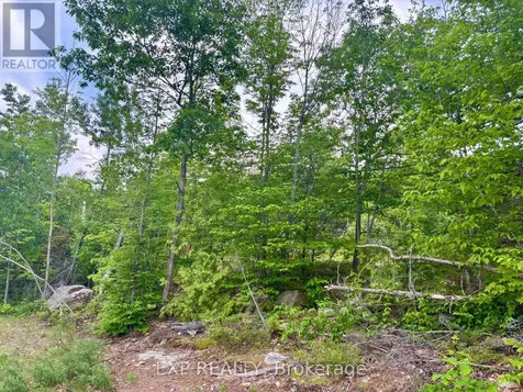 47 Arbor Vitae Road Madawaska Valley ON K0J 1B0