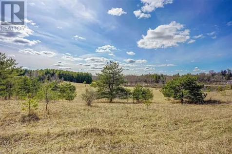 14466 Ninth Line Whitchurch-stouffville ON L4A 7X3