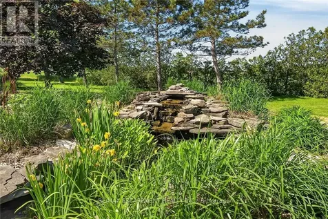 235 Concession 4 Road Haldimand ON N0A 1G0