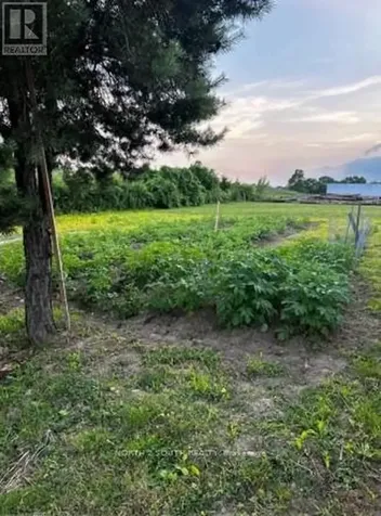 1030 Colborne Street West Brantford ON N3T 5L7