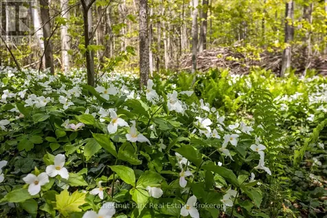 64 Maple Golf Crescent Northern Bruce Peninsula ON N0H 2R0