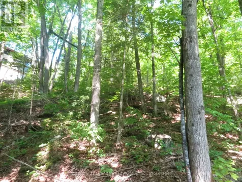 0 Fire Route 330 Route Trent Lakes ON K0M 1R0