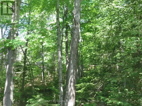 0 Fire Route 330 Route Trent Lakes ON K0M 1R0