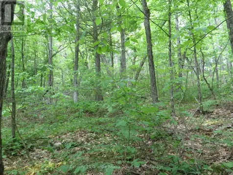 0 Fire Route 330 Route Trent Lakes ON K0M 1R0