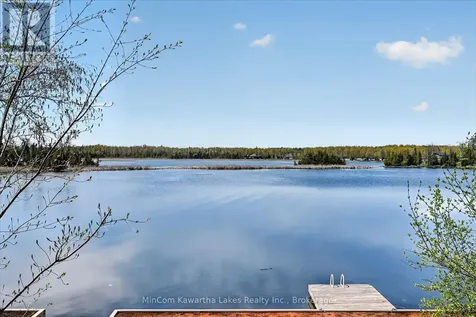 54 Woodland Trail Trent Lakes ON K0L 1J0