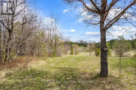 353814 Osprey Artemesia Townline Grey Highlands ON N0C 1J0