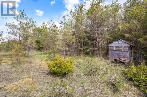 353814 Osprey Artemesia Townline Grey Highlands ON N0C 1J0