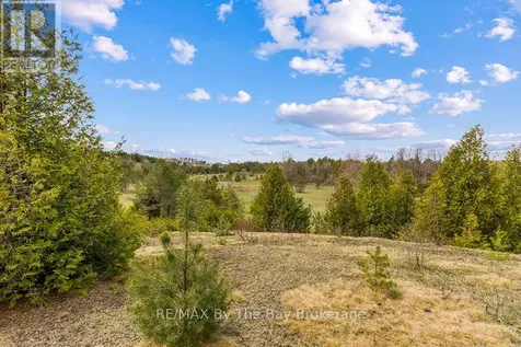 353814 Osprey Artemesia Townline Grey Highlands ON N0C 1J0