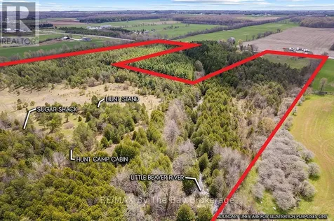 353814 Osprey Artemesia Townline Grey Highlands ON N0C 1J0