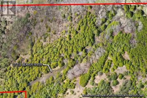 353814 Osprey Artemesia Townline Grey Highlands ON N0C 1J0