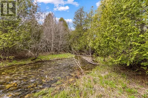 353814 Osprey Artemesia Townline Grey Highlands ON N0C 1J0