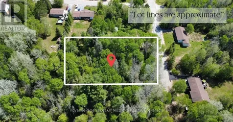 10 Poplar Street South River ON P0A 1X0