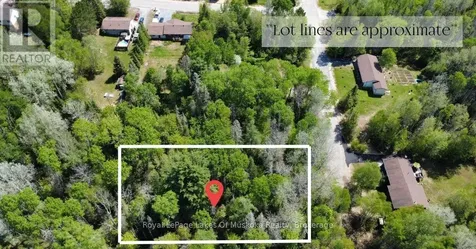 12 Poplar Street South River ON P0A 1X0