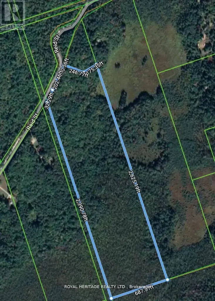 506 Reid Street Trent Lakes ON K0M 2A0