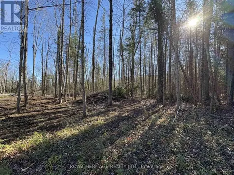 506 Reid Street Trent Lakes ON K0M 2A0