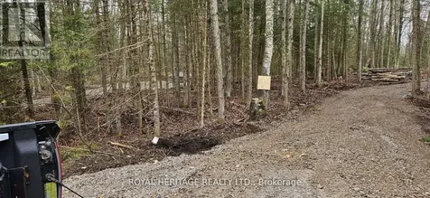 506 Reid Street Trent Lakes ON K0M 2A0