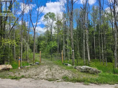 887 Star Lake Road Perry ON P0A 1J0