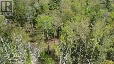 887 Star Lake Road Perry ON P0A 1J0