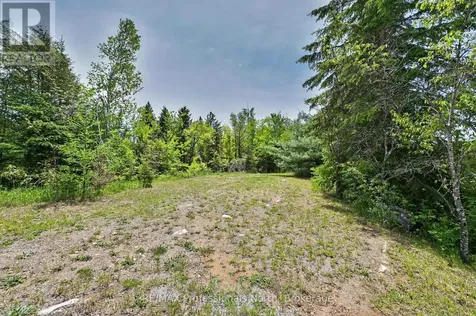 3186 County Road 121 Road Trent Lakes ON K0M 1C0