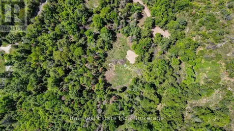 232 Lasswade Road North Kawartha ON K0L 1A0