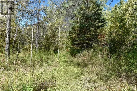 19976 Kennedy Road Caledon ON L7K 1Y3