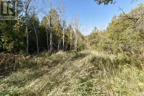 19976 Kennedy Road Caledon ON L7K 1Y3