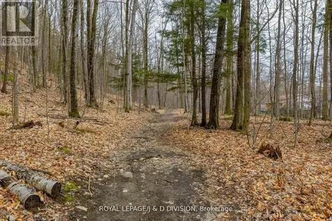 123 Desroches Trail Tiny ON L9M 1R3