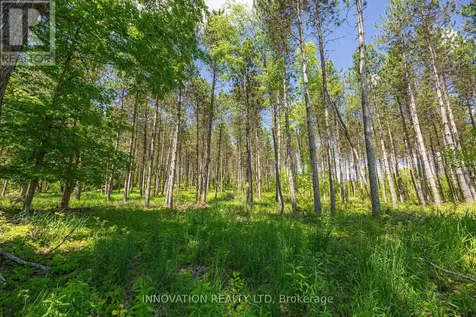 354 Mcculloch Road Lanark Highlands ON K0G 1M0