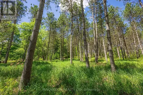 354 Mcculloch Road Lanark Highlands ON K0G 1M0