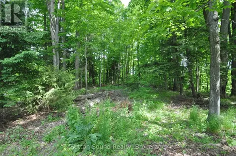 294 Forest Hill Drive Georgian Bluffs ON N4K 5N6