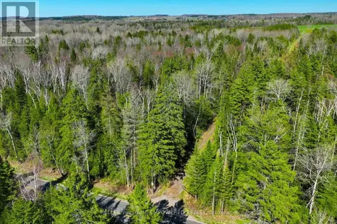 7489 Concession Road 2 Uxbridge ON L0G 1M0