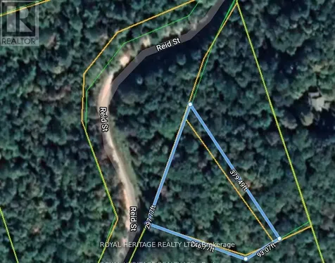0B Reid Street Trent Lakes ON K0M 2A0