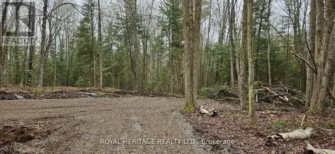 0B Reid Street Trent Lakes ON K0M 2A0