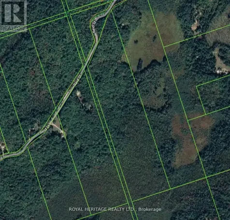 0B Reid Street Trent Lakes ON K0M 2A0