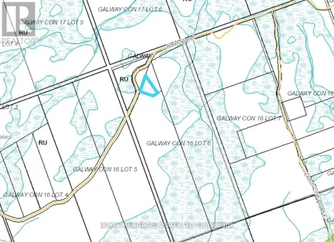 0B Reid Street Trent Lakes ON K0M 2A0