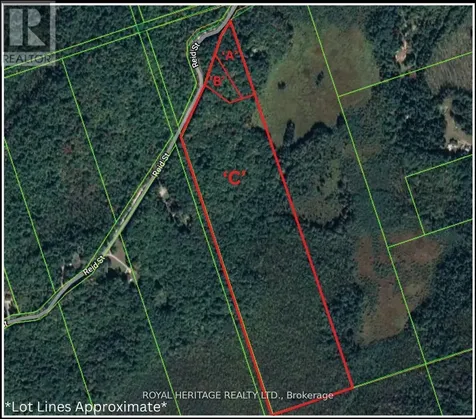 0A Reid Street Trent Lakes ON K0M 2A0