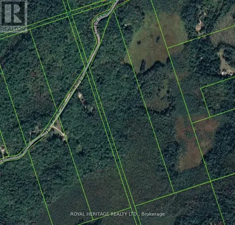 0A Reid Street Trent Lakes ON K0M 2A0