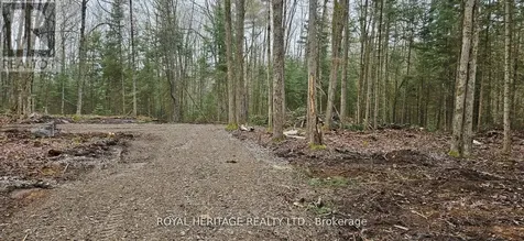 0A Reid Street Trent Lakes ON K0M 2A0