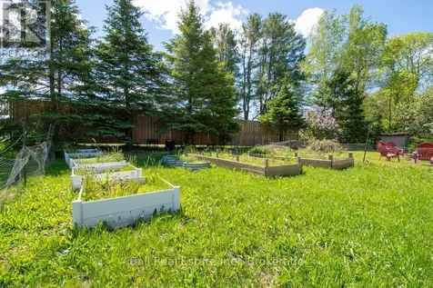 3993 County Road 620 North Kawartha ON K0L 1A0