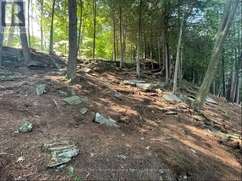 110D Louisa Street Parry Sound ON P2A 2V3