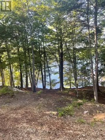 110D Louisa Street Parry Sound ON P2A 2V3