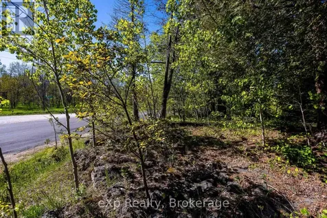 205 East Road Northern Bruce Peninsula ON N0H 1W0