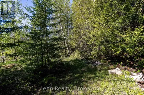 205 East Road Northern Bruce Peninsula ON N0H 1W0