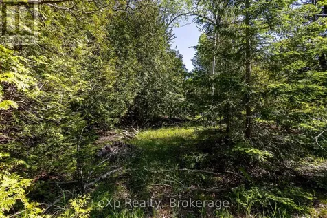 205 East Road Northern Bruce Peninsula ON N0H 1W0