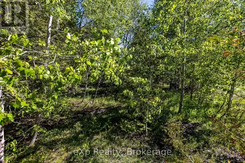 205 East Road Northern Bruce Peninsula ON N0H 1W0